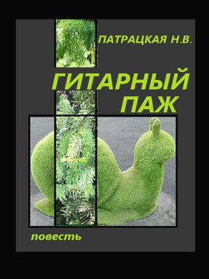 cover image of Гитарный паж